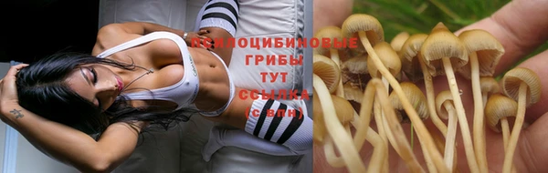 каннабис Бородино
